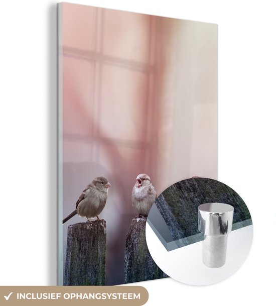 MuchoWow - Glasschilderij - Acrylglas - Vogel - Mus - Paal - Lucht - Foto op glas - Wanddecoratie - 90x120 cm - Glasschilderij vogels - Glasschilderij dieren - Muurdecoratie - Slaapkamer