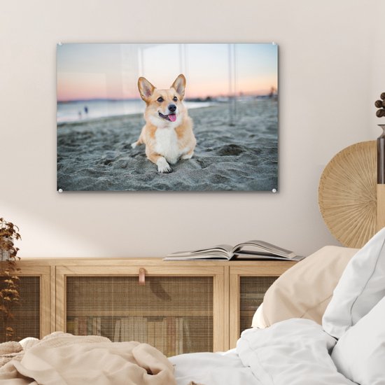 Chien sur la plage en Glas 60x40 cm - Tirage photo sur Glas (décoration murale en plexiglas)
