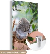 MuchoWow® Glasschilderij 20x30 cm - Schilderij acrylglas - Koala - Takken - Bladeren - Kinderen - Jongens - Meisjes - Foto op glas - Schilderijen