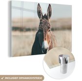 MuchoWow® Glasschilderij 120x80 cm - Schilderij acrylglas - Ezel - Portret - Dier - Foto op glas - Schilderijen