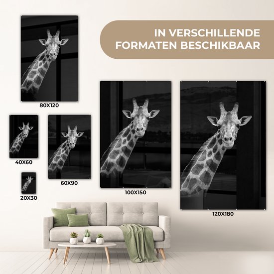 MuchoWow - Peinture sur verre - Girafe - Zwart - Wit - Photo sur verre - Verre acrylique - Décoration murale - 80x120 cm - Salon - Décoration murale animaux - Décoration maison