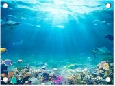 Tuin decoratie Onderwaterwereld - Zeedieren - Water - Zee - Koraal - Blauw - 40x30 cm - Tuindoek - Buitenposter