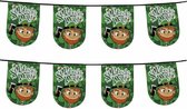 2x St Patricks Day vlaggenlijnen 6 m - Groene versiering/decoratie vlaggenlijnen/slingers met Kabouter/Leprechaun