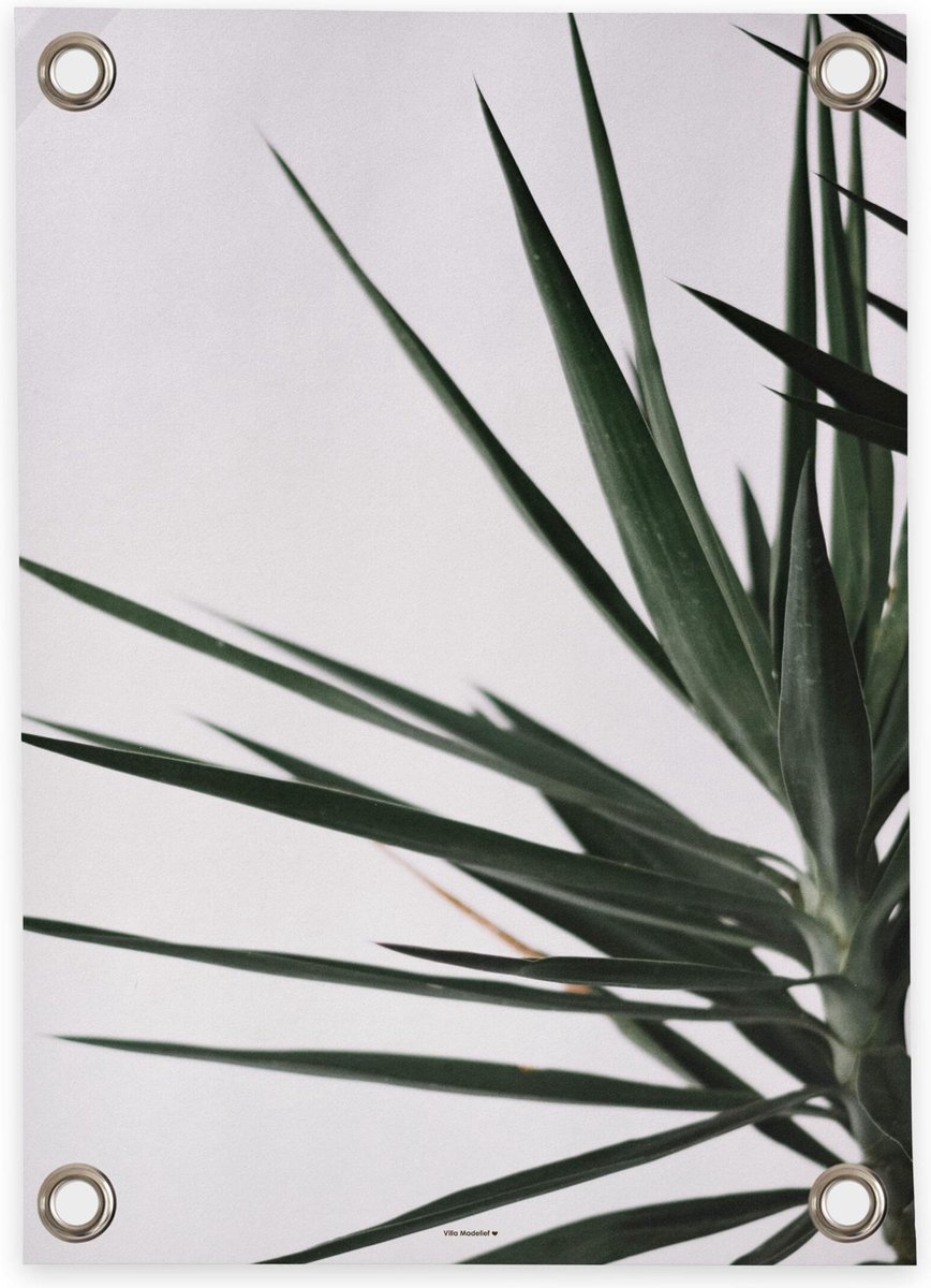 Villa Madelief Tuinposter Palm- 70x100cm - Vinyl - Tuindecoratie - Tuinschilderij - Schuttingposter - Tuindoek - Buitenposter voor in de tuin - Waterafstotend - Organische Collectie