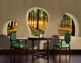 Forest Woodland View Modern Photo Wallcovering