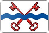 Vlag gemeente Leiderdorp - 70 x 100 cm - Polyester