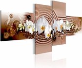 Schilderij - Passie , wit roze orchidee , 4 luik ,  100x45cm