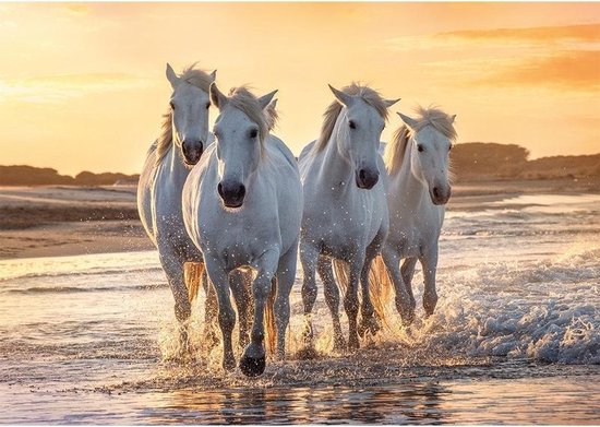 Dieren poster kudde witte paarden op het strand / zee -A1 - 84 x 59 cm - Kinderkamer decoratie posters schimmels / paarden / - Kinderposters - Cadeau paardenliefhebber