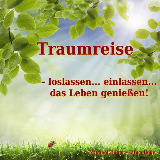 Traumreise - loslassen... einlassen... das Leben genießen! - cover
