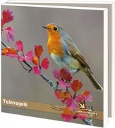 Bekking & Blits - Wenskaartenmapje - Set wenskaarten - Kunstkaarten - Museumkaarten - 10 stuks - Inclusief enveloppen - Dieren - Vogels - Tuinvogels - Vogelbescherming Nederland