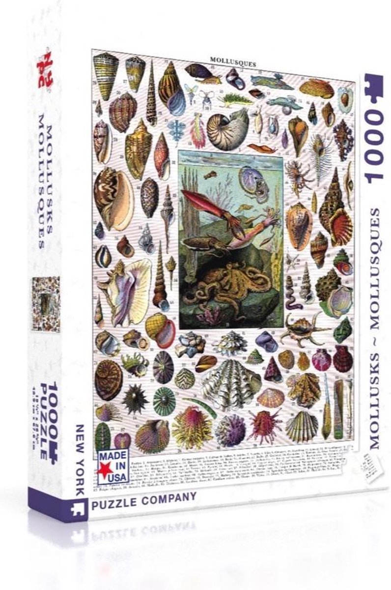 New York Puzzle Company - Vintage Images Mollusks - 1000 stukjes puzzel