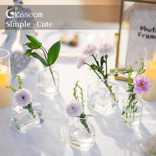 25 CM Kleine Bloemenvaas Hoge Dunne Smalle Halsglazen Vazen Clear Mini Mond Enkele Stam Vazen voor Decoratieve Home Decor Woonkamer Kantoor en Centerpieces 25 CM Kleine Bloemenvaas Hoge Dunne Smalle Halsglazen Vazen Clear Mini Mond Enkele Stam Vazen voor Decoratieve Home Decor Woonkamer Kantoor en Centerpieces