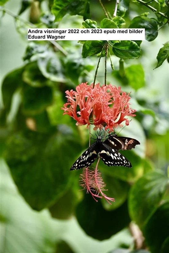 Andra visningar 2022 och 2023 epub med bilder - cover