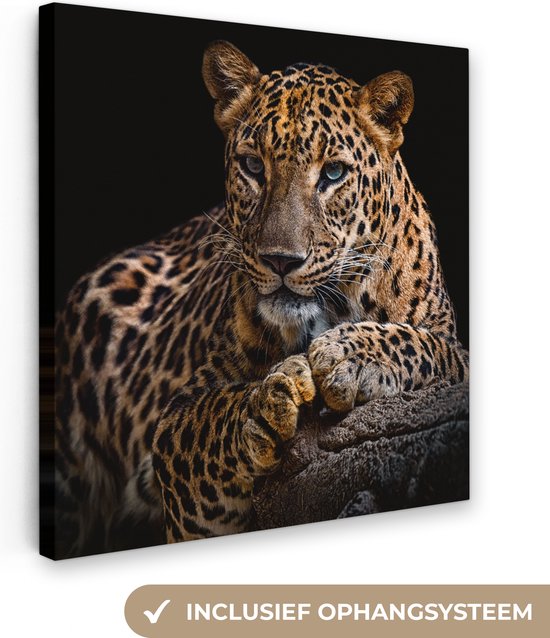 Canvas - Luipaard - Boomstam - Dieren - Muurdecoratie - 90x90 cm - Schilderijen op canvas - Canvas doek