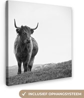 Canvas - Dieren - Schotse hooglander - Koe - Gras - Natuur - Woonkamer - Canvas schilderij - 50x50 cm - Woondecoratie - Canvas doek