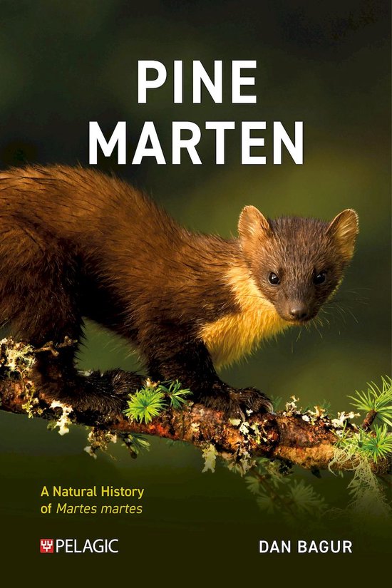 Pelagic Monographs- Pine Marten