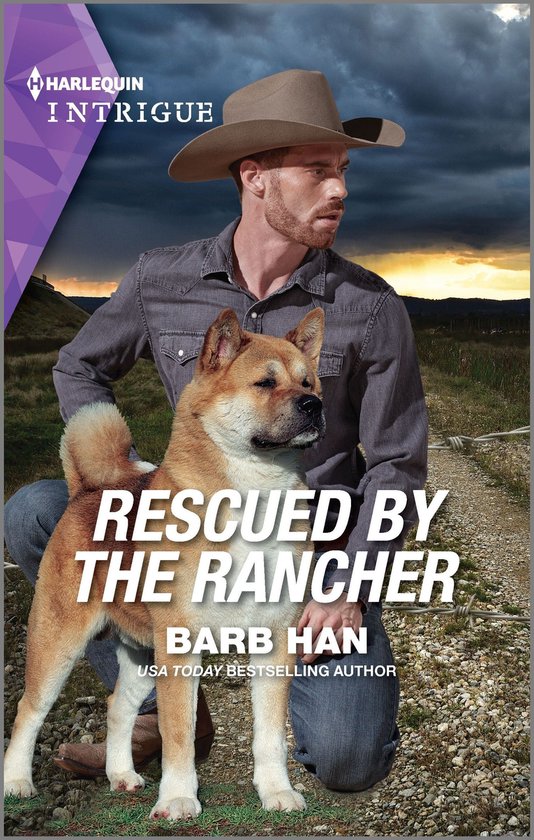 The Cowboys of Cider Creek 1 - Rescued by the Rancher - cover