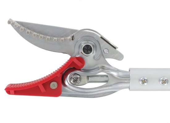ARS Langarm Rozenpresenteerschaar - Lichtgewicht Aluminium Steel - Gehard Verchroomd Staal - Roteerbaar Handvat - 617 mm - Rood van ARS — afbeelding 5