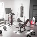 Thuis gym met halterbank, bokszak, muurrek en diverse gewichten. Afmetingen 138cm, 173cm, 124cm.