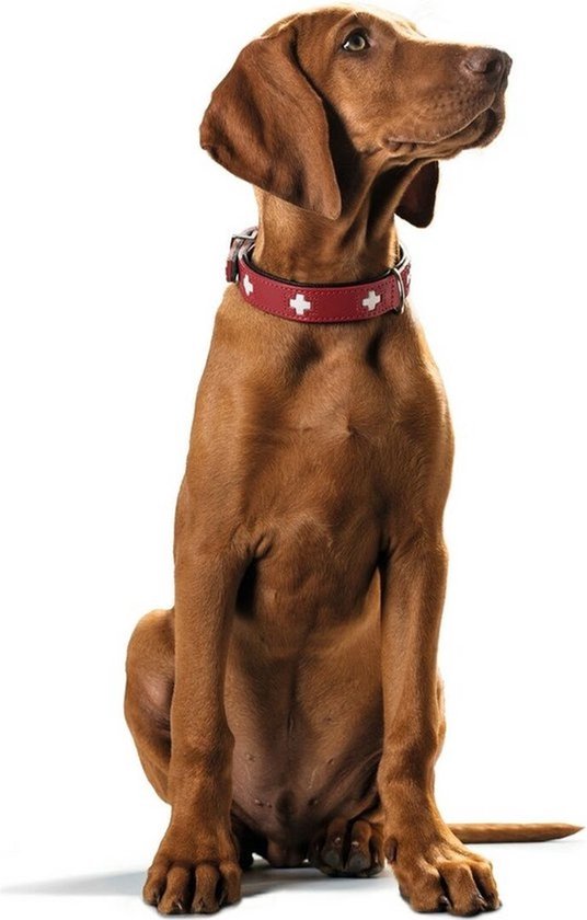 Dog collar Hunter Swiss Red/Black (35-39.5 cm) van Hunter — afbeelding 4
