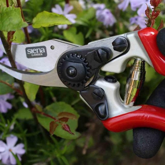 Premium Tuinschaar - Rozenbypassschaar 691526 van Kinzo — afbeelding 3
