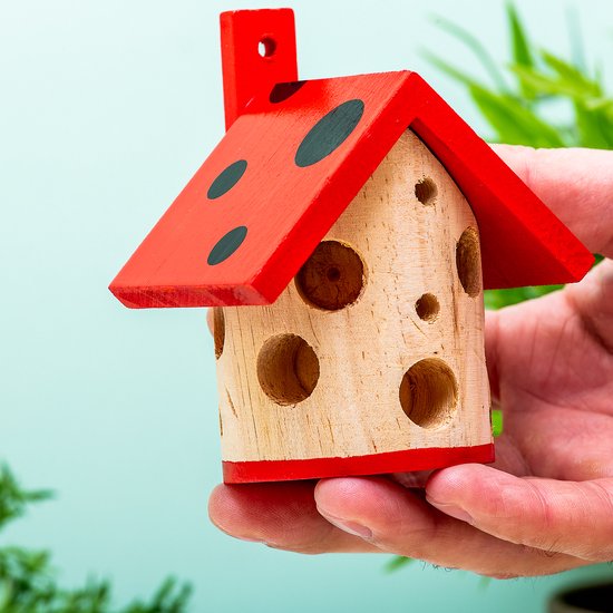 Kikkerland Ladybug Maison coccinelle