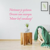 Muursticker Herinner Je Gisteren Droom Van Morgen Maar Leef Vandaag! - Roze - 120 x 60 cm - woonkamer slaapkamer nederlandse teksten