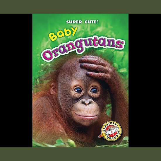 Baby Orangutans - cover