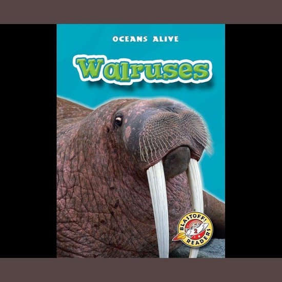 Walruses - cover