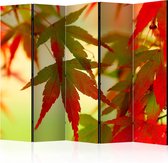 Kamerscherm - Scheidingswand - Vouwscherm - Colourful leaves II [Room Dividers] 225x172 - Artgeist Vouwscherm