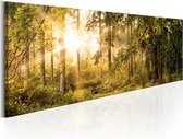 Schilderijen Op Canvas - Schilderij - Autumn Sigh 120x40 - Artgeist Schilderij