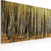 Schilderijen Op Canvas - Schilderij - The mystery of Sherwood Forest - triptych 60x40 - Artgeist Schilderij