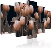 Schilderijen Op Canvas - Schilderij - Tulpen in sepia 100x50 - Artgeist Schilderij