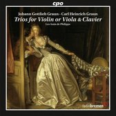 Violaviolin Klavier Trios