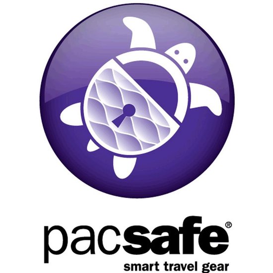 pacsafe 55