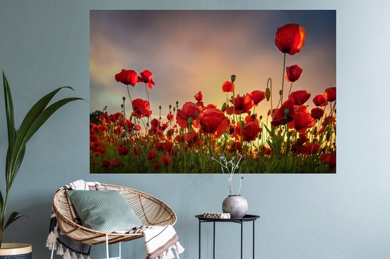 Sticker mural coquelicot 