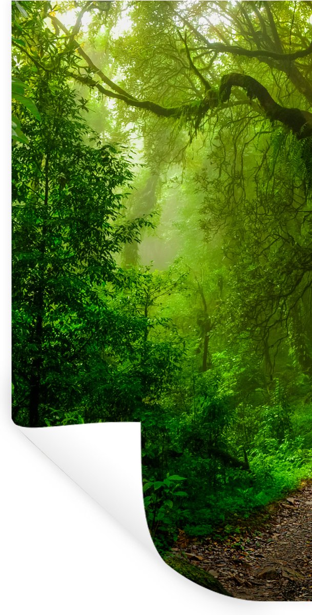 Muurstickers - Sticker Folie - Landschap - Jungle - Tropisch - Zon - Groen - 80x160 cm - P
