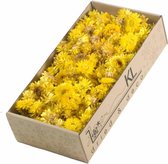Droogbloemen Helichrysum koppen 100gr natuurlijk geel - 1 doos