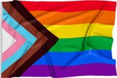 Fjesta pride vlag - Progress pride flag - Gay pride vlaggen - Regenboog - 150x90cm
