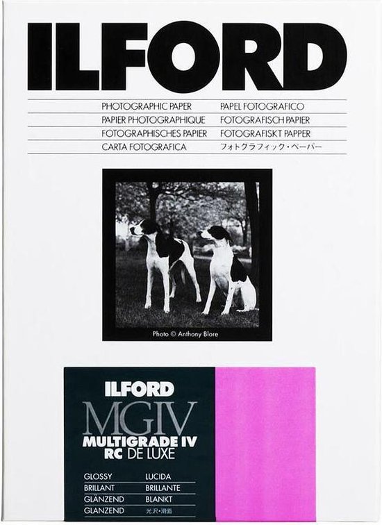 ILFORD Multigrade RC V Brillant 24 x 30.5cm 50 Feuilles - Labo-Seb