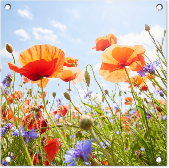 Tuinposters Bloemen - Klaproos - Lente - Natuur - Rood - Blauw - 50x50 cm - Tuindoek - Buitenposter