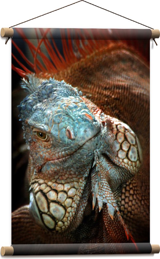 Textielposter - Close-up van Gezicht van Blauwe Iguana Reptiel - 40x60 cm Foto op Textiel
