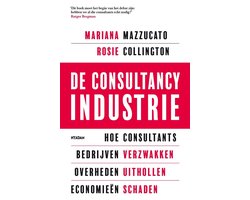 Omslag van De consultancy industrie