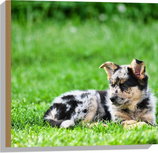 Puppy Knuffel Kubus Commando - Hondenspeelgoed - Pluche