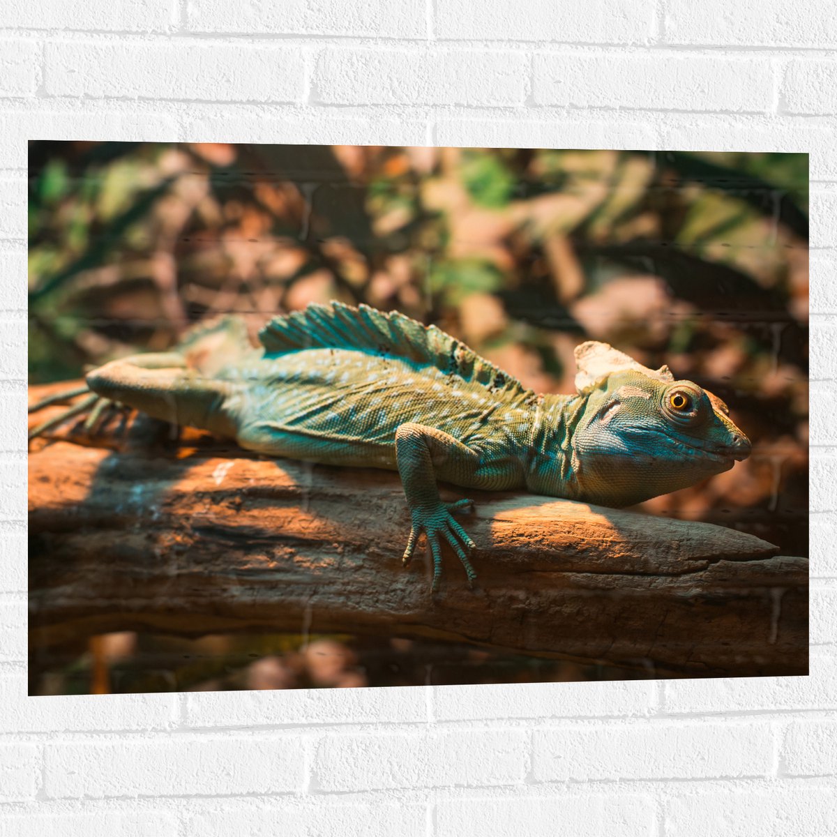 Muursticker - Blauw-Groene Kameleon Liggend op Houten Boomstam - 80x60 cm Foto op Muurstic