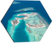 Dibond Hexagon - Bovenaanzicht van het Rif van de Maledieven - 30x26.1 cm Foto op Hexagon (Met Ophangsysteem)