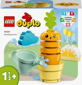 Bol.com LEGO DUPLO Mijn eerste Groeiende wortel Speelset - 10981 aanbieding