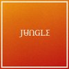 Jungle - Volcano (Cd)