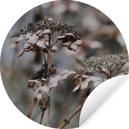 WallCircle - Stickers muraux - Cercle de papier peint - Fleurs - Glace - Hiver - 50x50 cm - Cercle mural - Autocollant - Autocollant de papier peint rond