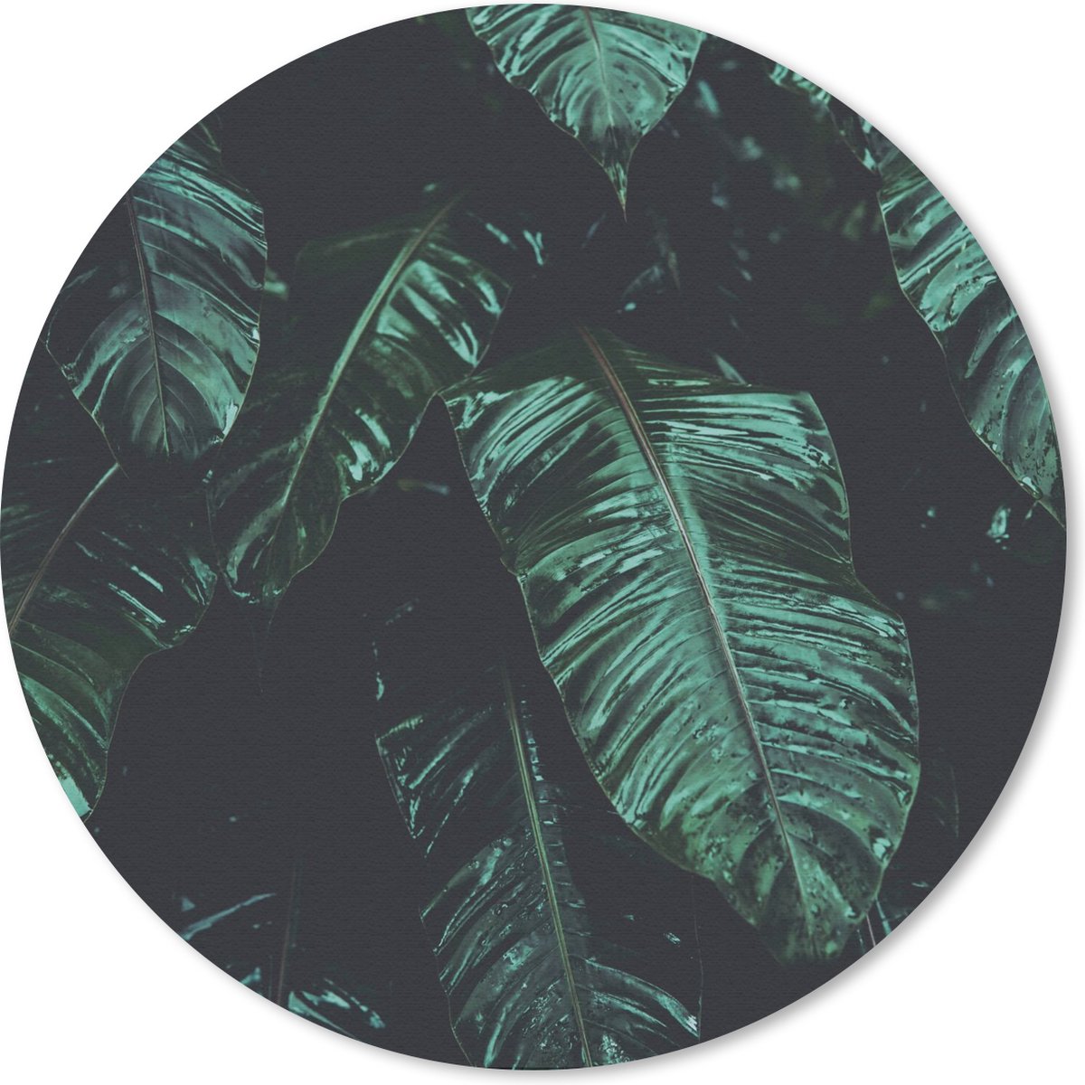 Muismat rond 30x30 cm - Mousepad Jungle - Palmboom - Bladeren - Tropisch - Ronde muismatten